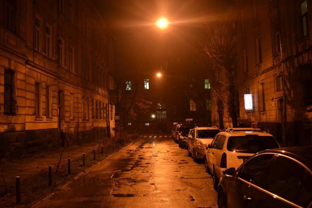 Cozy Apartment Lviv Buitenkant foto